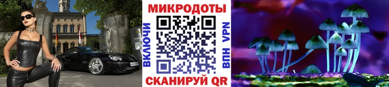закладка  Игра  Галлюциногенные грибы мухоморы 